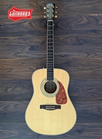 Imagen de guitarra Fender DG-100